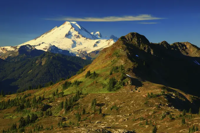 Morning Light Mt Baker Viewed From Yellow Aster Butte in the Mt Baker Wilderness of Washington