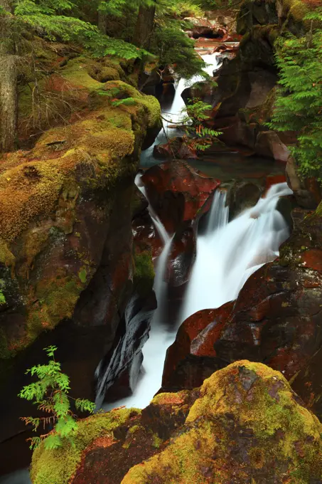 Avalanche Creek From the Avalanche Creek Trail in Glacier National Park in Montana