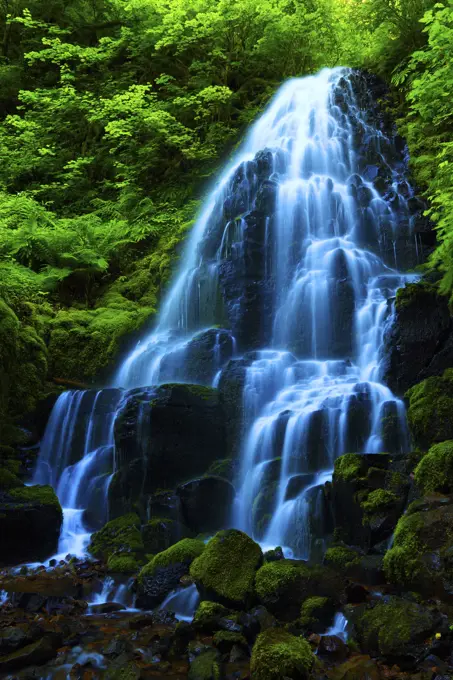 Ferry Falls on the Wahkeena Trail in the Columbai River Gorge National Scenic Area in Oregon