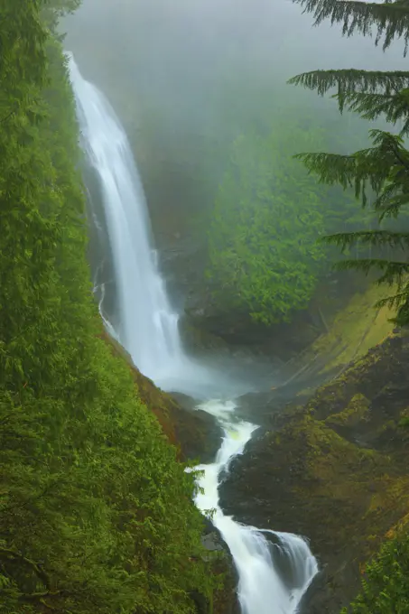 Wallace Falls on a Foggy Day From the Miidle Falls View Point in Wallace Falls State Park in Washington