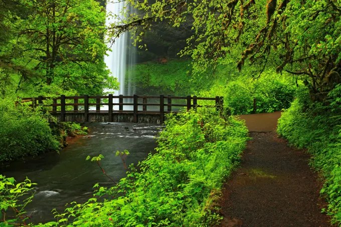 South Falls and a bridge, at Silver Falls State Park, Oregon.