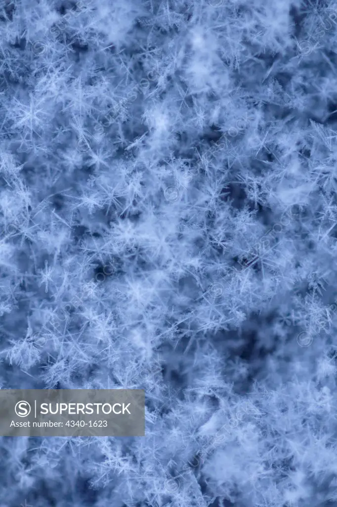 A close-up view of snowflakes collecting on a car window in the Arctic village of Barrow, Alaska.