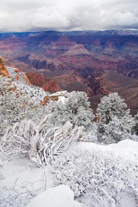 Scenic snowy winter landscape along the South Rim of Grand Canyon National Park, Arizona.