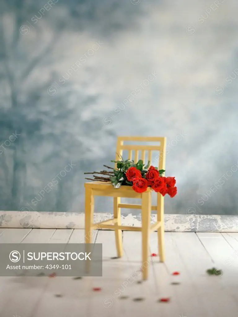 Roses on Chair