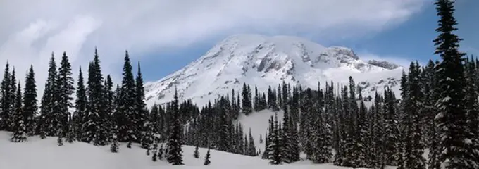 Paradise in Snow Inside Mount Rainer National Park