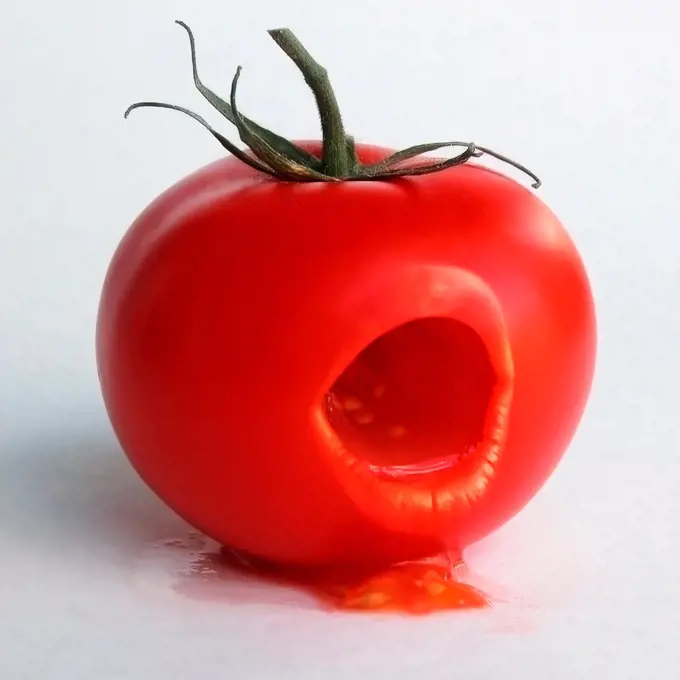 Vociferous Tomato