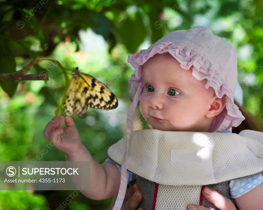 Baby Looking at Butterfly