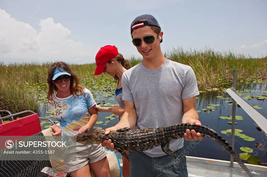 Alligator in the Everglades