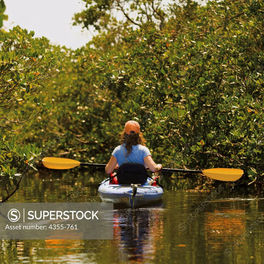 Kayaking Though the Mangroves in the Florida Keys