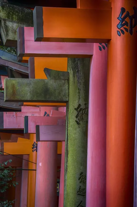 Fushimi Inari Taisha is the head shrine of Inari, located in Fushimi-ku, Kyoto, Japan.