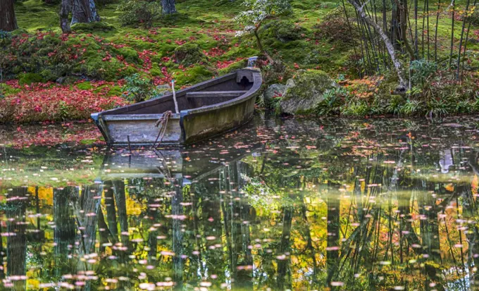 Kyoto, once the capital of Japan, is a refined city on the island of Honshu with thousands of classical Buddhist temples