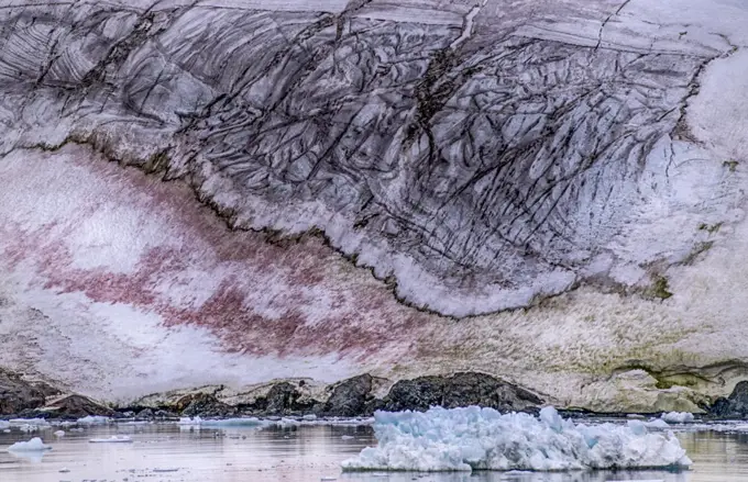 Snow Algae on ice in the Lemaire Channel, Antarctica