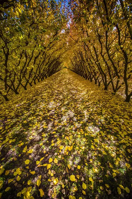 Kurow is a small town in the Waitaki District, New Zealand.