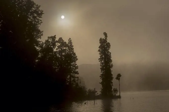 Lake Mapourika is located on the West Coast of New Zealand's South Island. It lies north of Franz Josef Glacier.