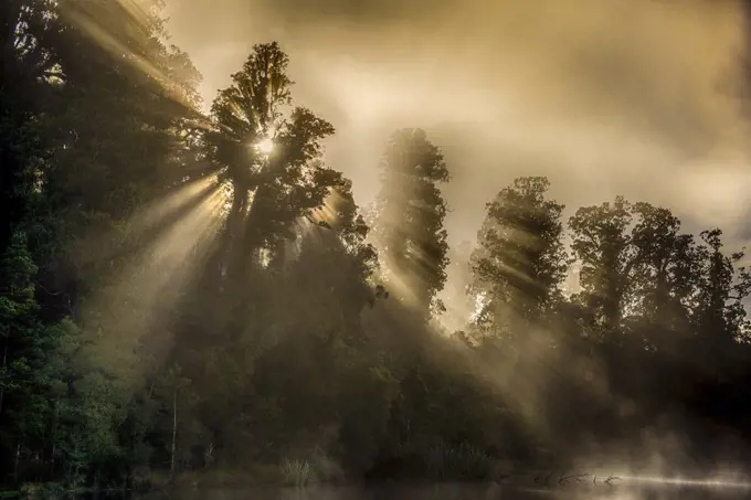 Lake Mapourika is located on the West Coast of New Zealand's South Island. It lies north of Franz Josef Glacier.