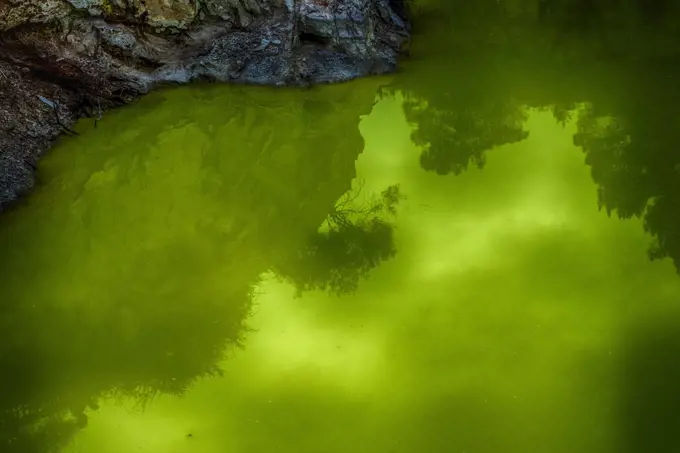 Rotorua on New Zealands North Island is renowned for its geothermal activity. The pools emit hydrogen Sulfide, Arsenic