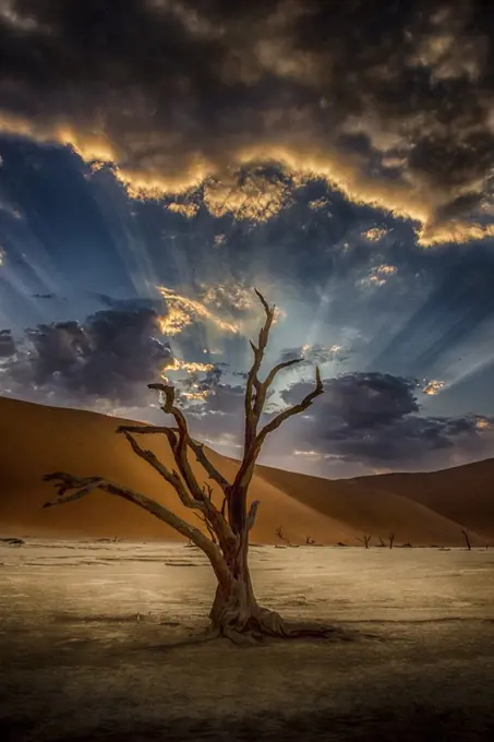 Deadvlei is a white clay pan located near Sossusvlei, inside the Namib-Naukluft Park in Namibia