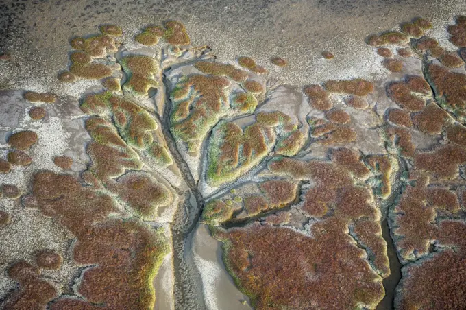 Salt flats near Swakopmund , Namibia