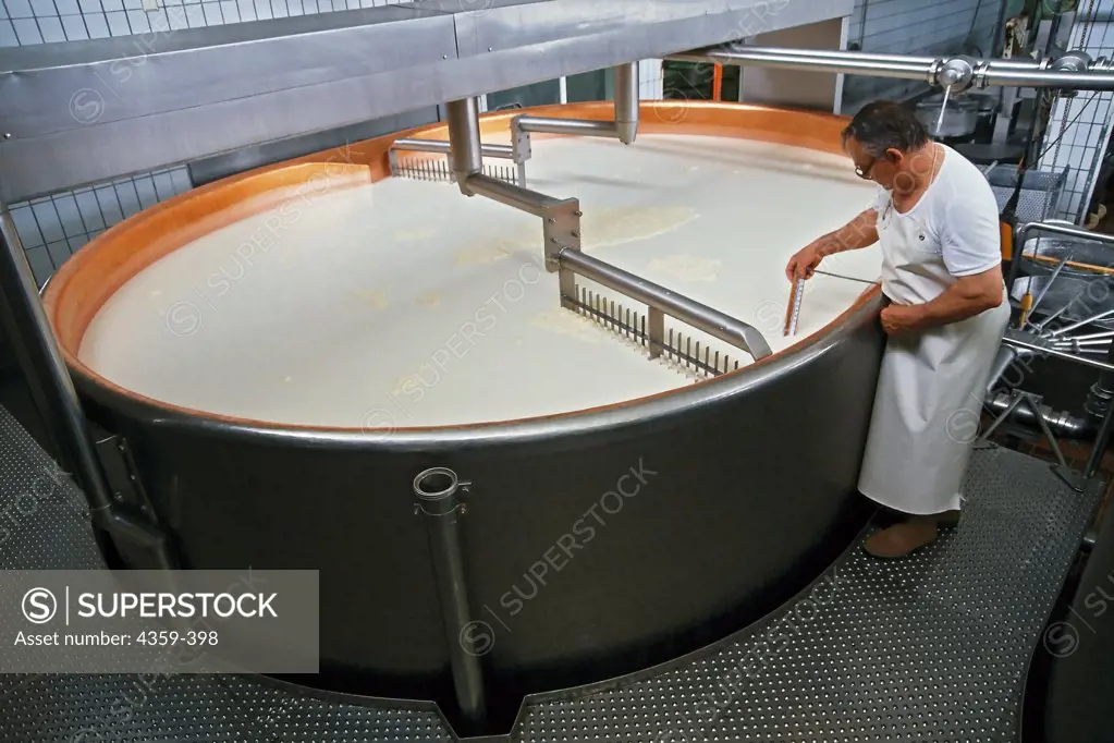 Milk being curdled in a large vat. A cheesemaker takes a sample from rennet-treated milk.