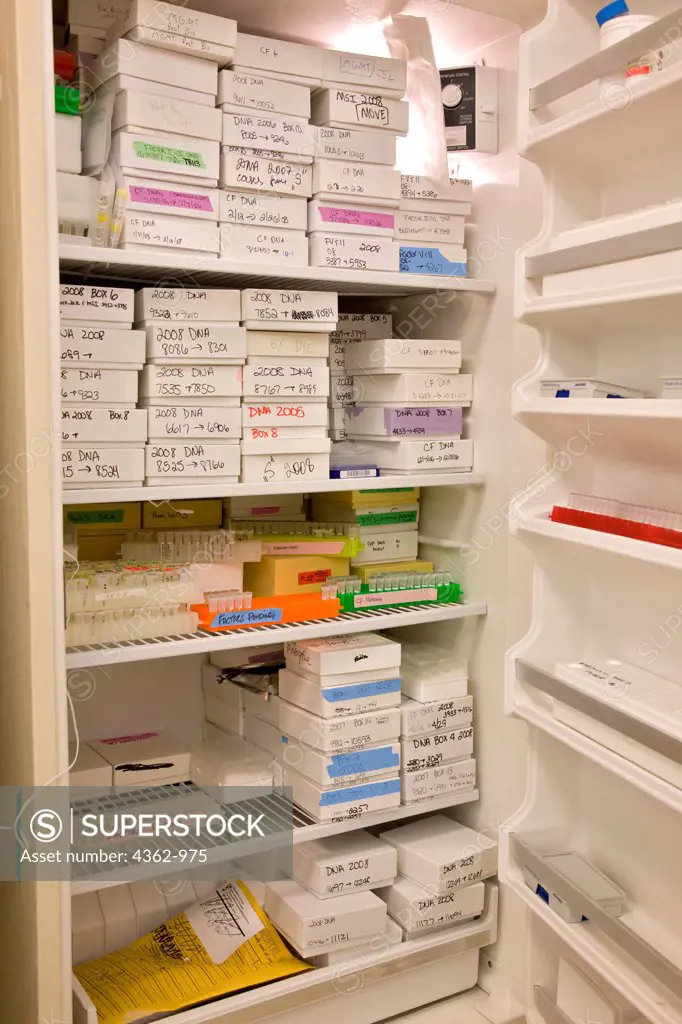 USA, Massachusetts, Boston, DNA samples in refrigerator in cytology laboratory in Brigham and Women's Hospital.DNA samples being held in refrigerator in cytology laboratory cytology, cells, diagnose, screening, abnormalities, infectious organisms, infectious, diagnostic, research, Boston; Brigham and Women's Hospital; MA