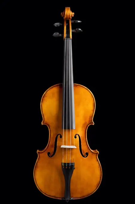 Hand Made Violin