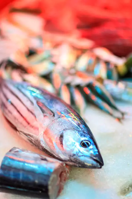 Tuna, Papeete Public Market, Tahiti Nui, Society Islands, French Polynesia, South Pacific