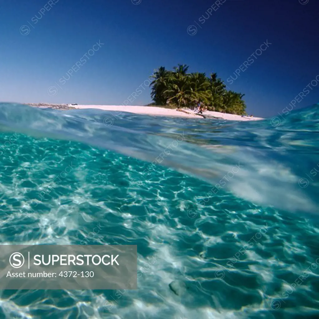 Above and Below View of Tropical Island