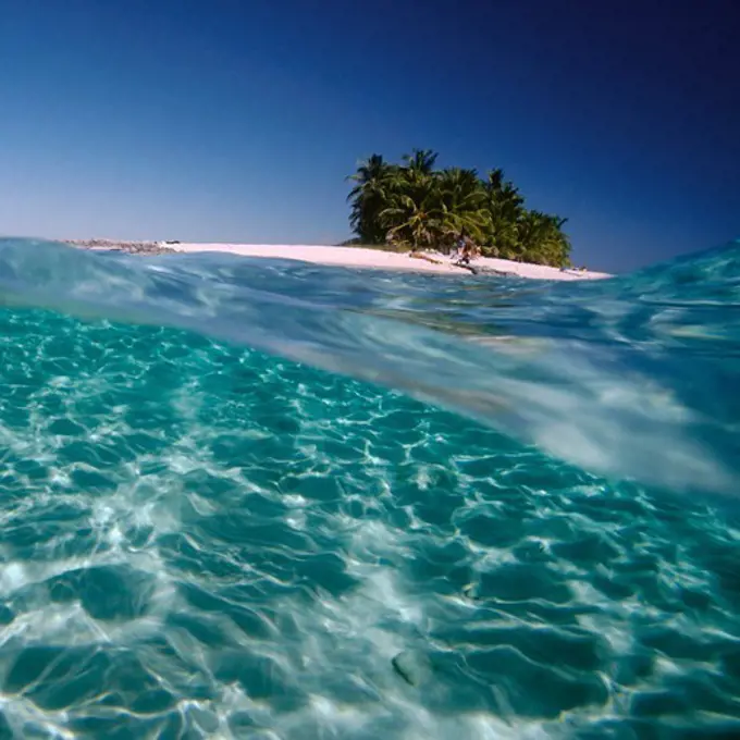 Above and Below View of Tropical Island