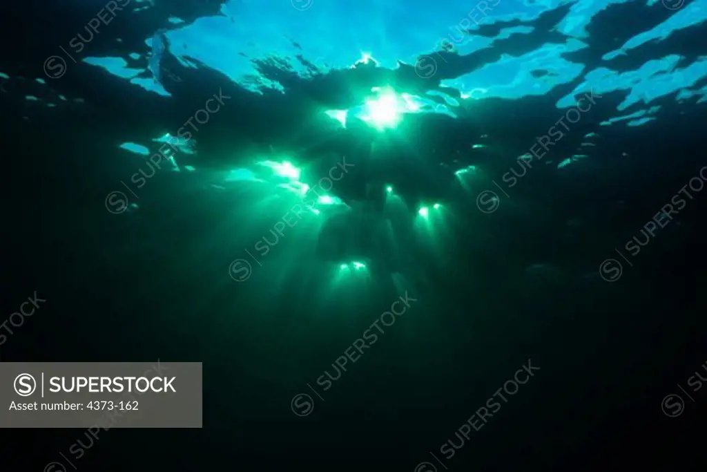 Sunset Seen From Underwater