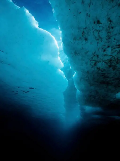 Ice Floes Splitting Apart