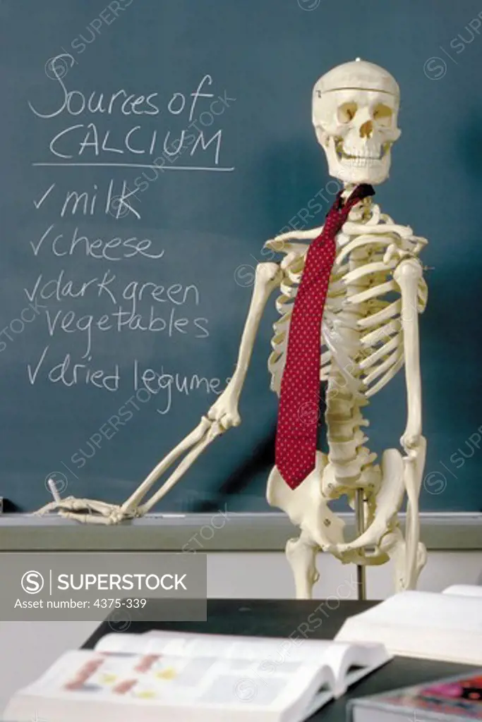 Skeleton Teaches About Foods with Calcium