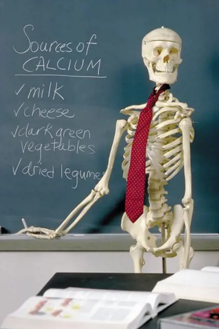 Skeleton Teaches About Foods with Calcium