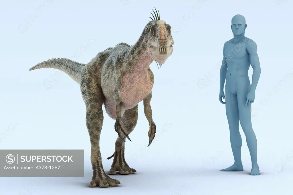 Model of a Monolophosaurus dinosaur showing the size in comparison to a human.