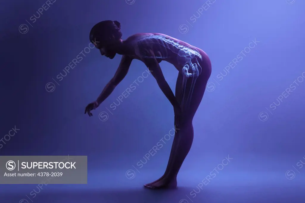 Skeleton layered over a female body bending over showing the skeletal alignment.