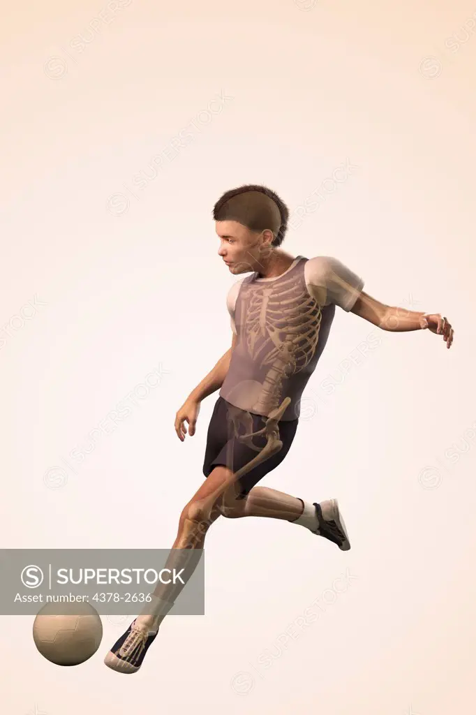 Anatomical model of a child kicking a soccer ball showing the skeletal alignment in the particular movement.