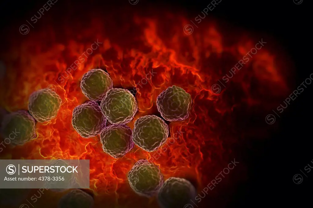 Rubella virus particles on a cellular surface. Rubella disease, commonly known as German measles, is the cause of congenital rubella syndrome when infection occurs during the first weeks of pregnancy.