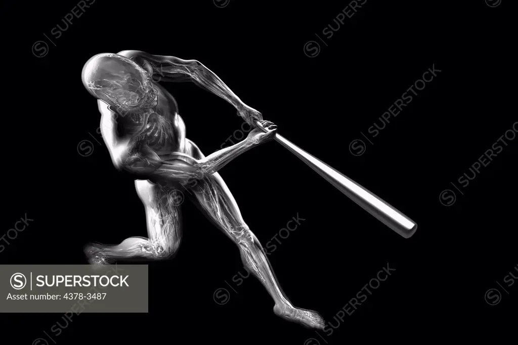 Male figure swinging a baseball bat. The internal anatomy is visible within the body.