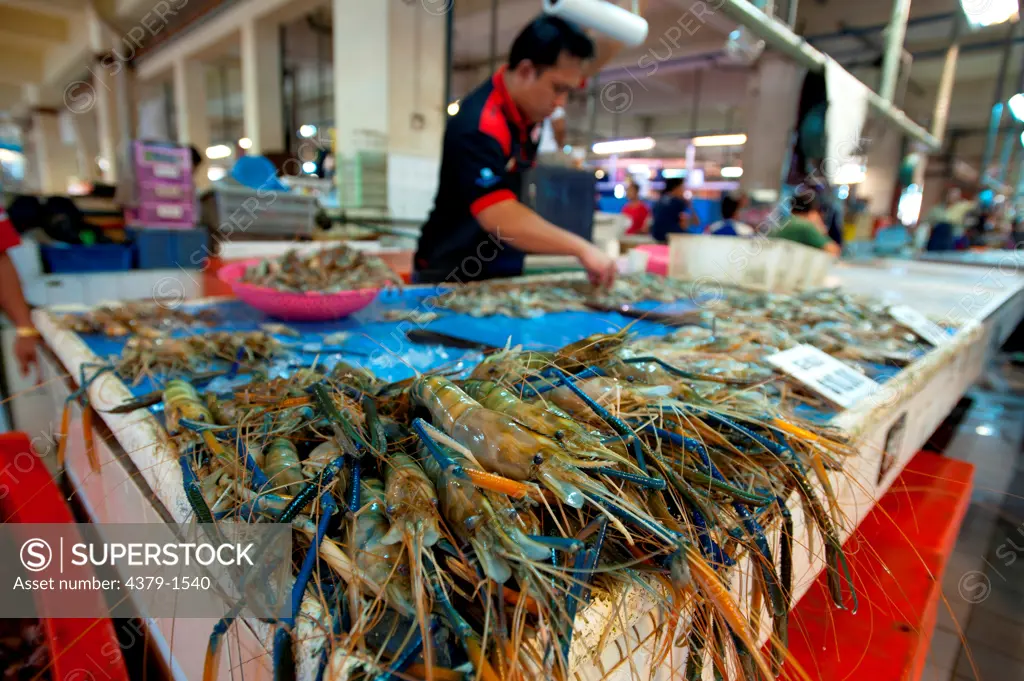 Giant fresh water prawns (Macrobrachium rosenbergii) for sale at the fish markets, Brunei