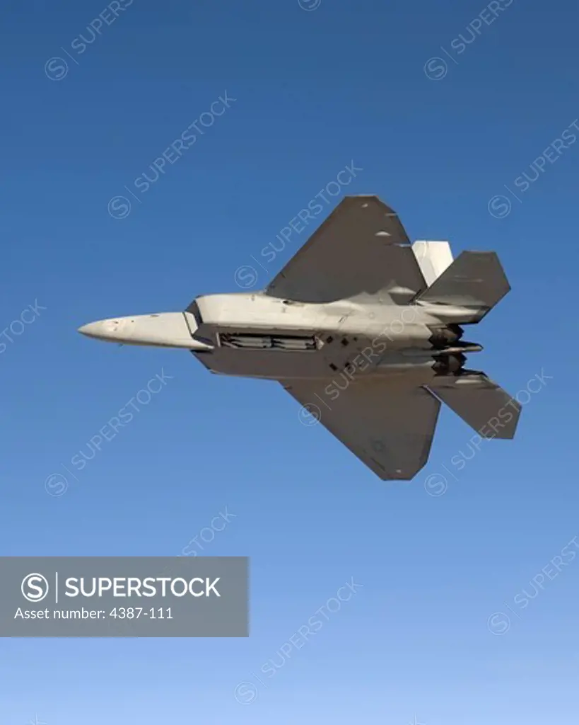 F-22 Raptor in Flight