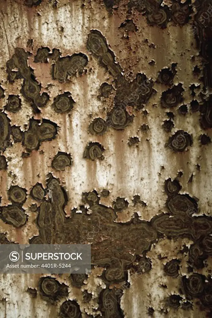 Rusty sheet metal, close-up, Sweden.