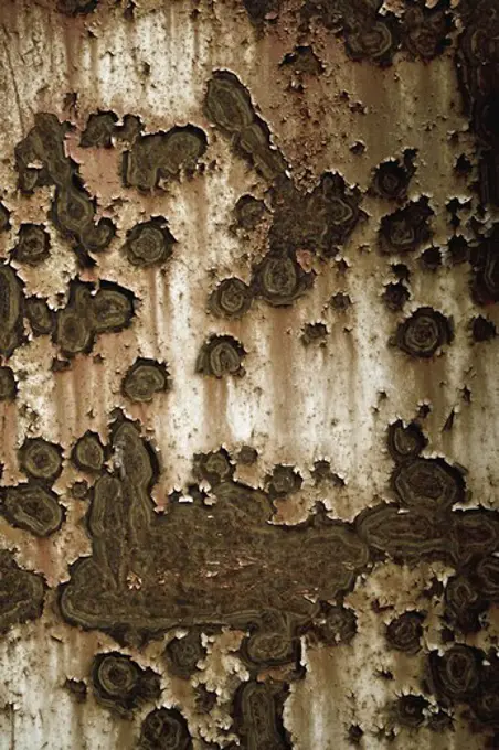 Rusty sheet metal, close-up, Sweden.