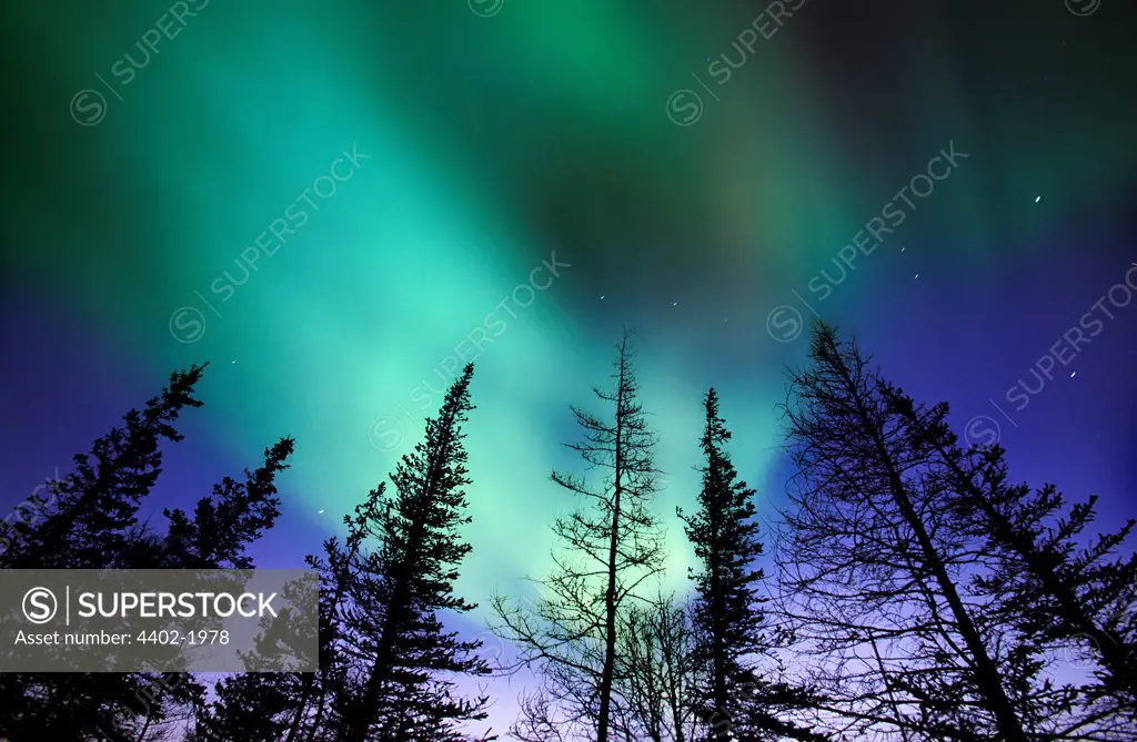 Aurora Borealis(Northern Lights), Churchill, Manitoba, Canada