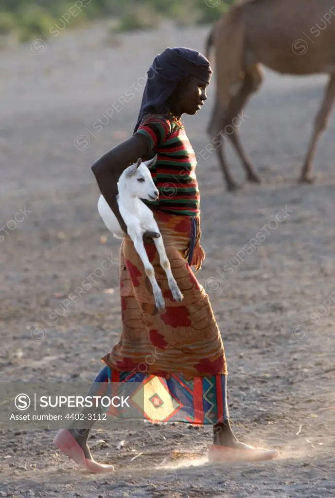 Girl of the Afar tribe carrying a young goat, Bilen, Ethiopia