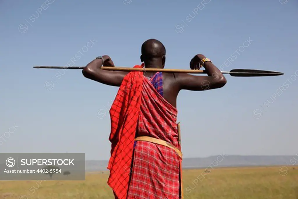 Masai guard with spear, Masai Mara, Kenya