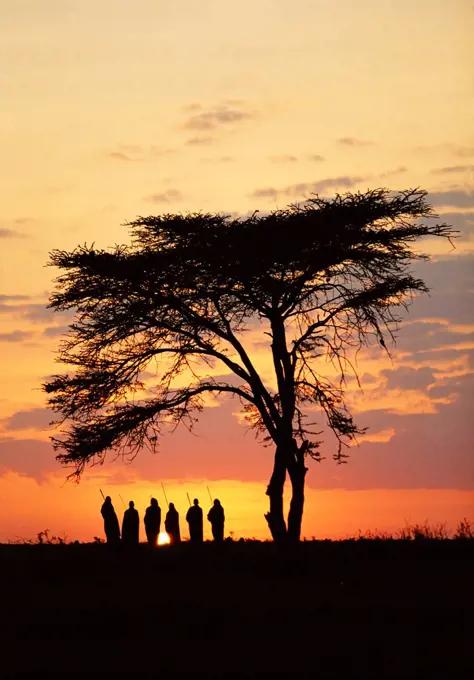 Group of Maasai men at sunrise, Kenya