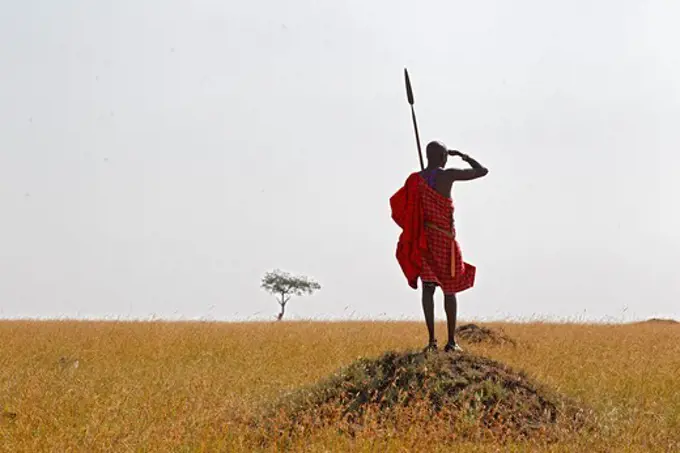 Masai guard on the savannah, Masai Mara, Kenya