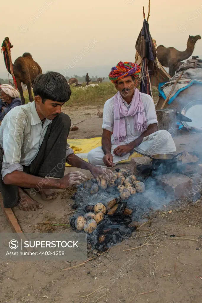 Camel Traders at dawn cooking Dal Baati Pushkar Camel Fair Rajasthan India unreleased