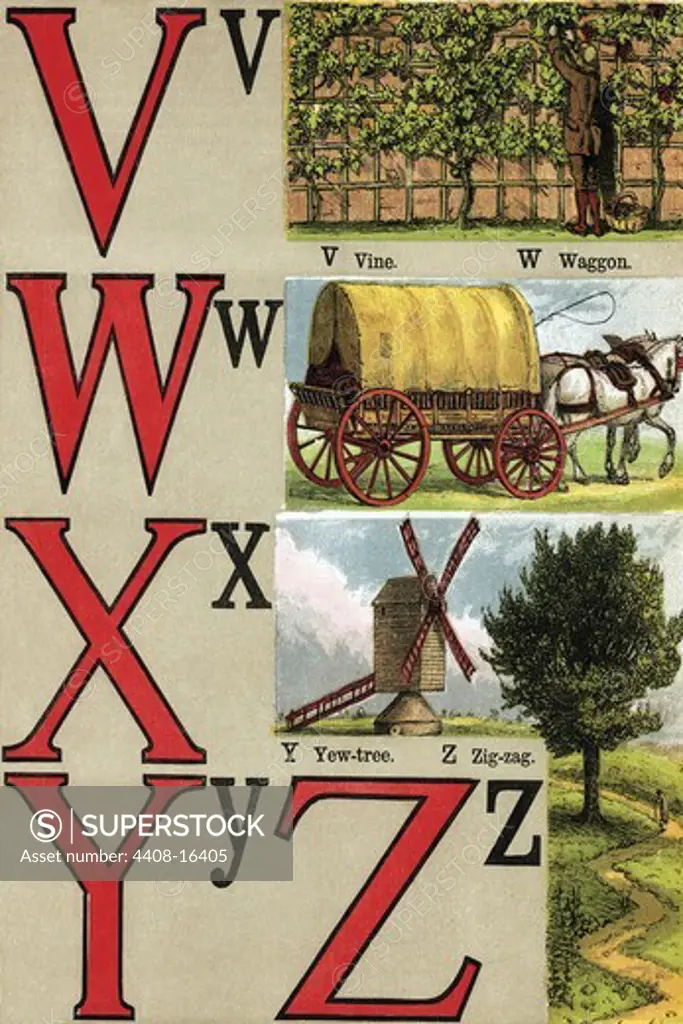 V, W, X, Y, Z Illustrated Letters, The Alphabet