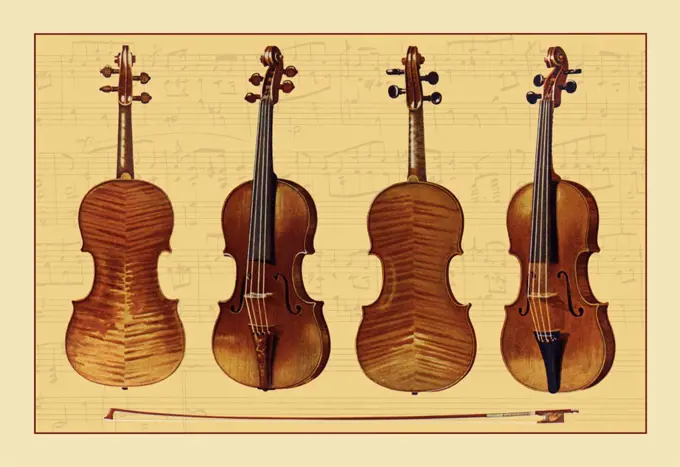 Violins, Renaissance Musical Instruments