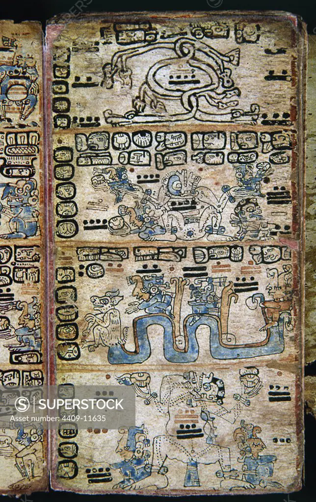 Page from the Madrid Codex (also known as the Tro-Cortesianus Codex). Mayan Culture. Gods and Men . 13th-15th centuries. Madrid, Museum of America. Location: MUSEO DE AMERICA-COLECCION. MADRID. SPAIN.